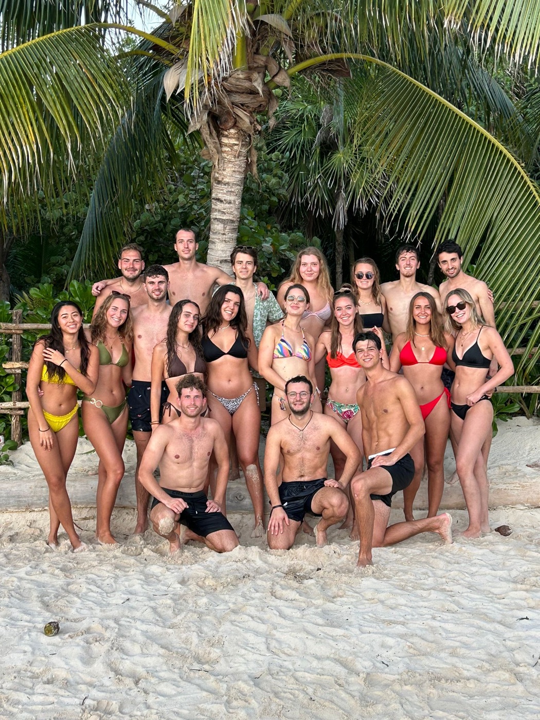 Grote groep vrienden op het strand onder de palmen