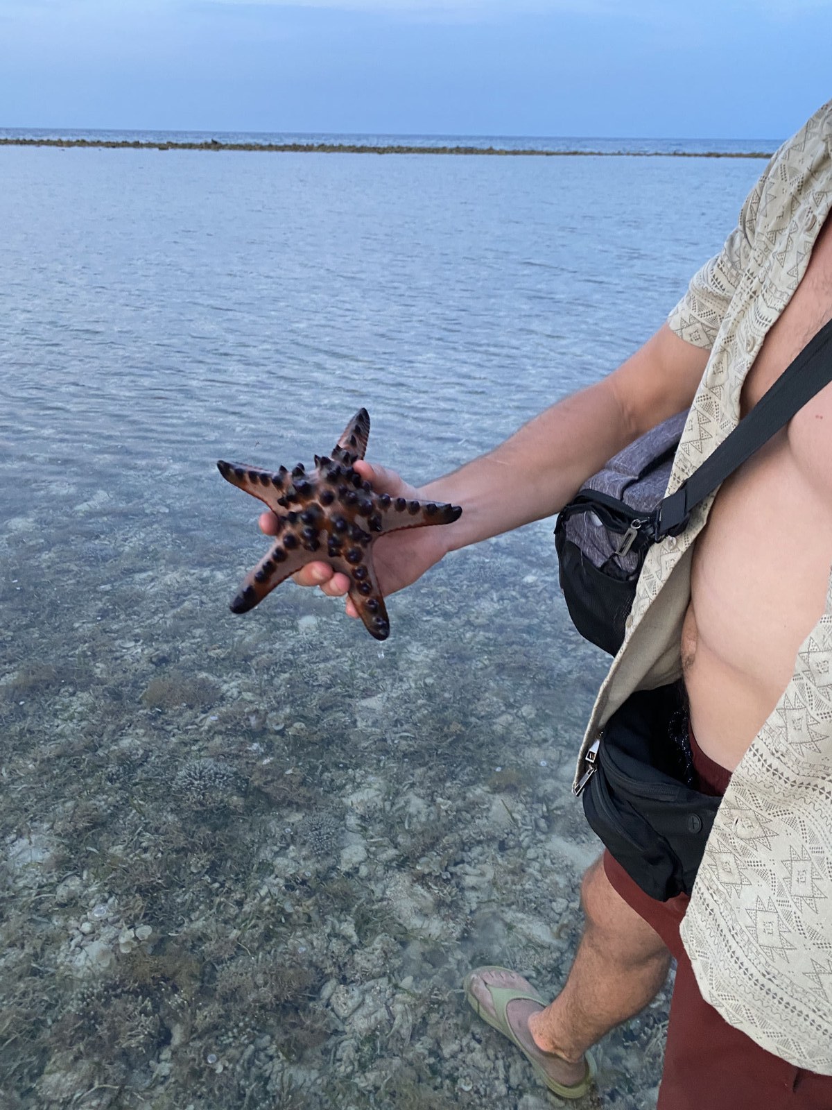 Zeester in de hand boven helder zeewater